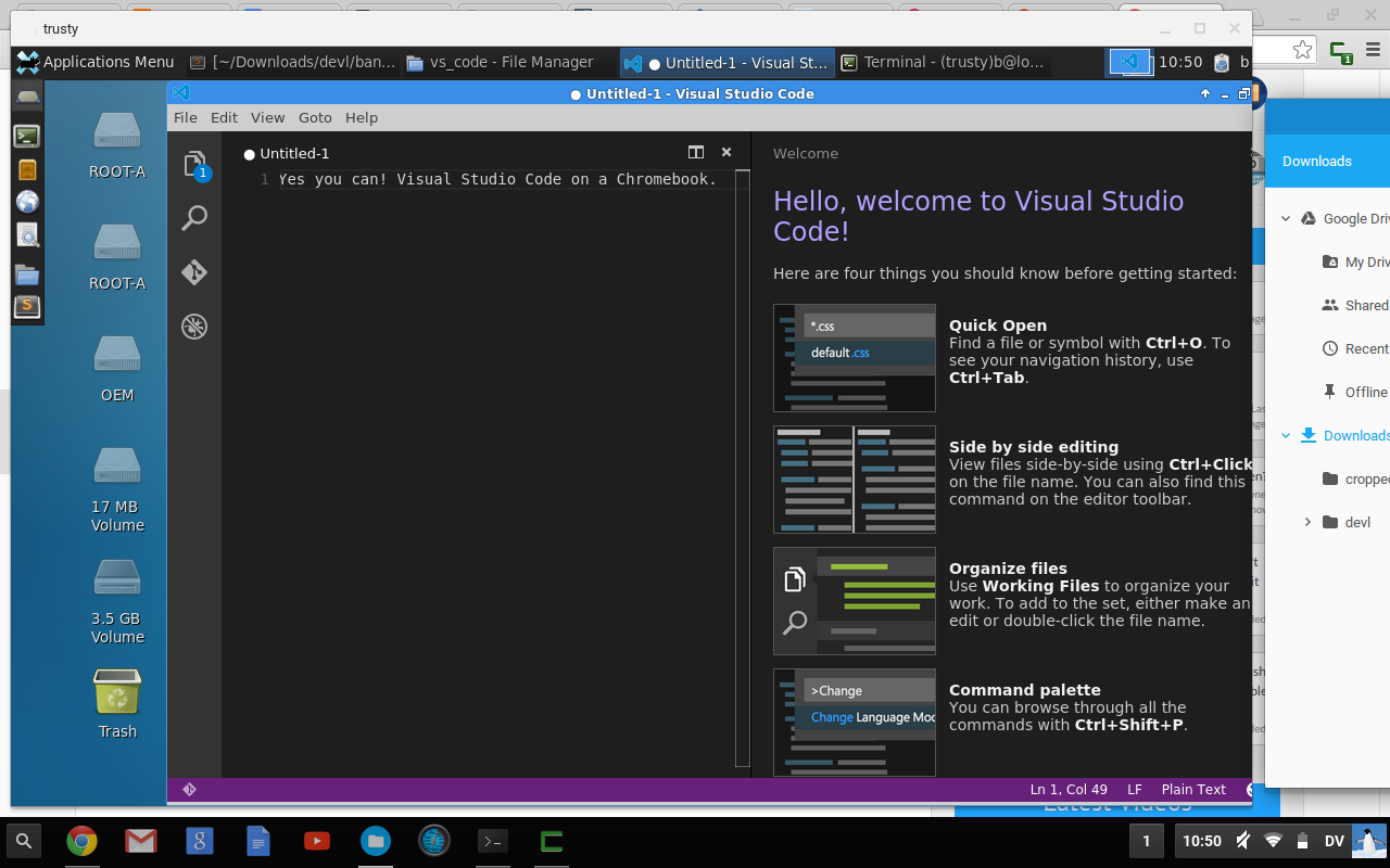 ASP.NET 5 on a chromebook